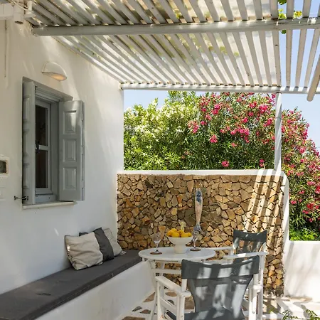 公寓 Flisvos Garden Naxos City